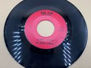 The Rockin Ramrods 45 She Lied & The Girl Can’t Help it-Rare Bon-Bon 1315