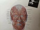 Area - Cursed (Maudits) LP RARE SEALED 1 PRINT