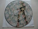 Amanda Lear / Gold / Follow Me  / Rare  Vinyl  Picture Disc