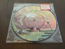 Do You Realize?? [Single] by Flaming Lips (The) (Vinyl, 2002) Picture Disc New