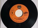 Todd Rundgren / Bang On The Drum All Day / Good Vibrations / 45rpm / Mint