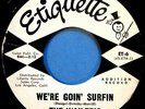 The Wailers Promo 45 We're Goin Surfin b/w Shakedown Garage Surf Etiquette 45rpm