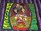 RAMONES / Acid Eaters ORIG SPAIN 1st PRESS LP 1993 PUNK PSYCH ROCK MASTERPIECE