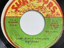 Roots SURVIVORS (THE SLICKERS) Third World Rebellion 45 Jamaica Reggae 7