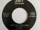 Unknown Private Metal 45 SABOR Turn You Onto Rock/In The Night AWT HEAR Pacifica