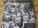 Limp Bizkit New Old Songs Double Album Vinyl