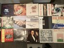 45 Vinyl indie rock rarities noise alternative, Tragic mulatto, Foetus, Cows…