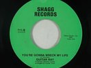 Crossover Soul 45 - Guitar Ray - You're Gonna Wreck My Life - Shagg - mp3