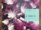 Orbital Radiccio 1 12” Vinyl 1992 ‘Halcyon’