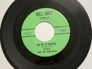 Nick & Sting-Rays DOOWOP ROCKABILLY 45 You Are So Beautiful  Broken Hearted HEAR