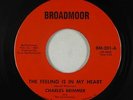 Crossover Soul 45 - Charles Brimmer - Feeling Is In My Heart - Broadmoor VG+ mp3