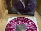 Slow Crush ‎”Hush” Lp Vinyl - USED