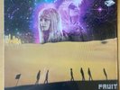 Fruit by The Asteroids Galaxy Tour LP  (2010 Record)