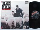 BLACK SHEEP A Wolf In Sheep's Clothing MERCURY LP