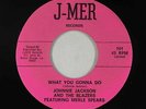 Northern/Deep Soul 45 - Johnny Jackson - What You Gonna Do - J-Mer - VG+ mp3