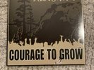Sealed Vinyl Rare Bright Side of Life by Rebelution 311 Sublime The Dirty Heads