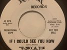 Northern Soul Promo 45/ Sunny & Sunliners 