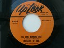 DELEGATES OF SOUL - I'LL COME RUNNING BACK