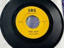 The Echoes 1960 DOO WOP 45 Baby Blue / Boomerang ORIGINAL SRG VG+++/MINT- HEAR
