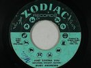 Northern Soul 45 - Ruby Andrews - Just Loving You - Zodiac - VG+ mp3