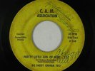 Sweet Soul/Funk - Big Daddy Graham - Pretty Little Girl Of Mine - C.A.M. - mp3