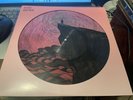 queen roger taylor outsider numbered picture disc 704