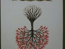 Lungfish - Love is Love - Vinyl LP - Dischord Records - 2003 Pressing