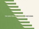 THE SURE FIRE SOUL ENSEMBLE Step Down LP NEW VINYL Colemine