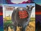 Blink 182 - Dude Ranch Album. Vinyl - Black 2016-  Gatefold