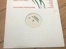 Common - Resurrection (Instrumentals) Vinyl 2LP