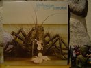 BIRTH CONTROL Operation LP/1971 Germany/Heavy Prog/Deep Purple/Uriah Heep/Ohr
