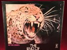 PETER GREEN The End Of The Game 1970 UK vinyl LP reprise original Zoot Money