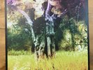 Animal Collective - Meeting Of The Waters | VG+ | 2017 | RSD Limited Edition