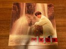 Andy Lau 一生一次 LP Korea