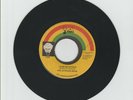 ITAL/ LEAD US FATHER - AFRICAN BROS (74 REGGAE ROOTS 7