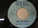 DERBY- HATVILLE: Turn Into Earth-You’ll Forget Me 1967 MINT Texas garage