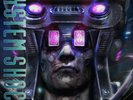 SYSTEM SHOCK (1994) Video Game Soundtrack 2x 12