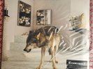 Grinderman 2 by Grinderman (Record, 2010)