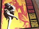 Guns & Roses Vinyl Appetite For Destruction And Use Your Illusion
