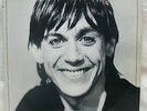 1977 Iggy Pop 
