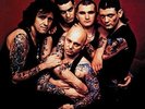 Rose Tattoo: Scarred for Life: 180g Vinyl/LP REP2287/V182 A