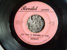 RARE DETROIT SOUL FUNK-REVILOT RECORDS 226-THE HOLIDAYS-ALL THAT IS REQUIRED-45