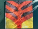 Yeah Yeah Yeahs	Show Your Bones (VG+) LP Vinyl Schallplatte