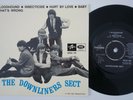 DOWNLINERS SECT Bloodhound +3  Sweden *only* EP freakbeat garage LISTEN