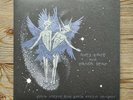 Panda Bear Spirit They're Gone, They've Vanished (Vinyl, 2009) Animal Collective