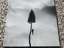 Manchester Orchestra A Black Mile To The Surface vinyl LP, Andy Hull, rare