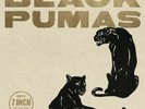 Black Pumas -7