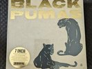 Black Pumas -7