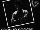 STEVE WATSON Born To Boogie 12
