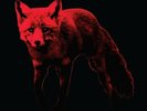 THE PRODIGY THE DAY IS MY ENEMY LP RECORD STORE DAY RSD 2022 NEW SEALED